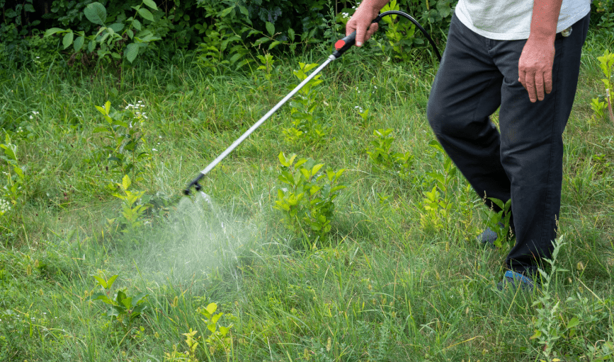 WEED CONTROL
